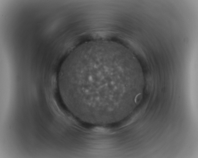 X0000114610699200910201153