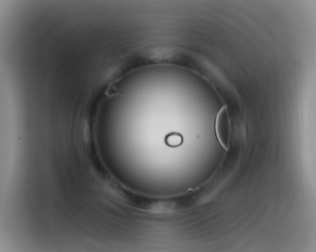 X0000114610700200910201153