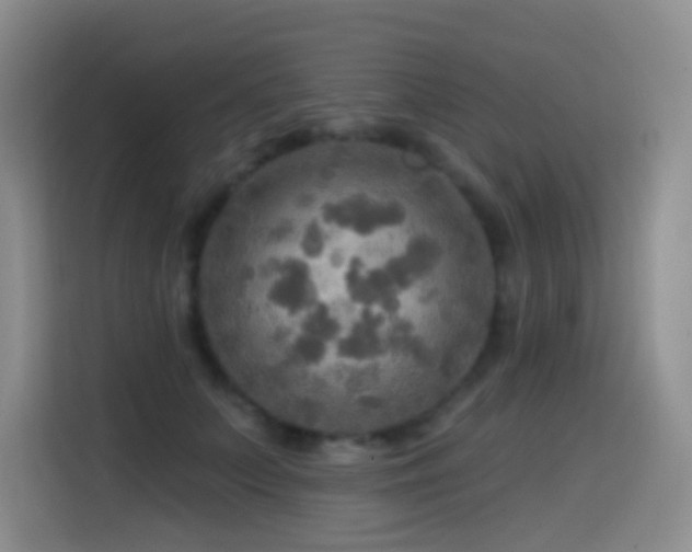 X0000114610703200910201153