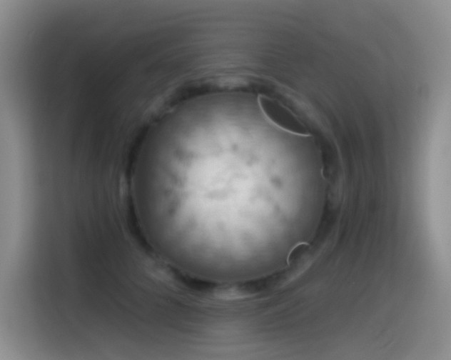 X0000114610704200910201153