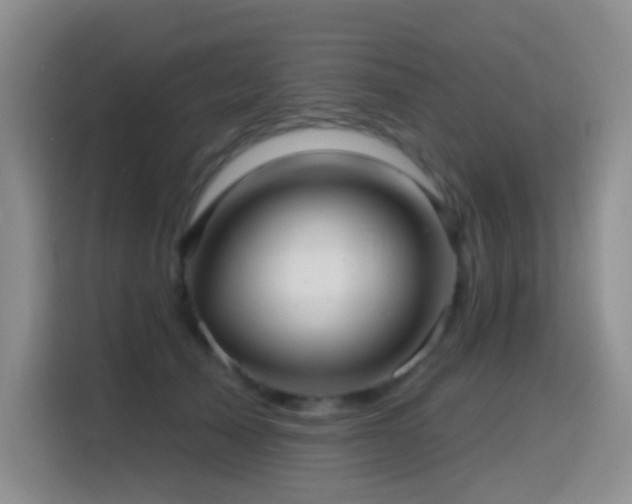 X0000114610705200910201153