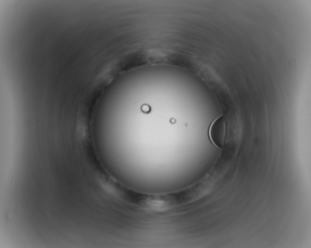 X0000114610706200910201152