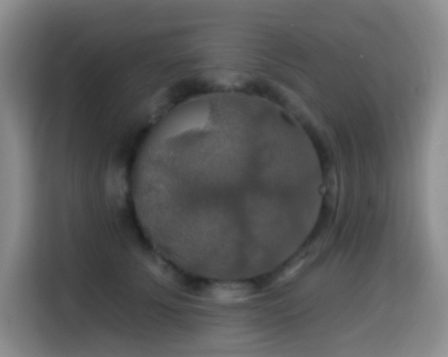 X0000114610707200910201152