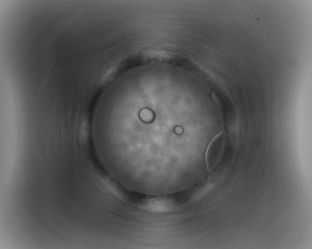 X0000114610708200910201152