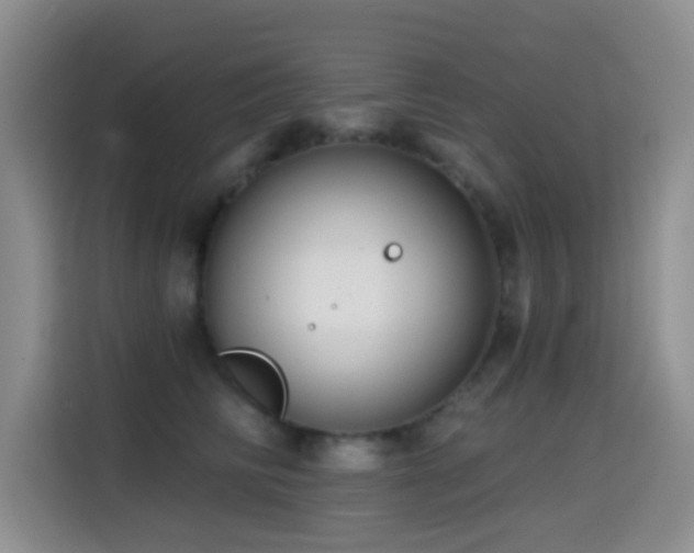 X0000114610710200910201152