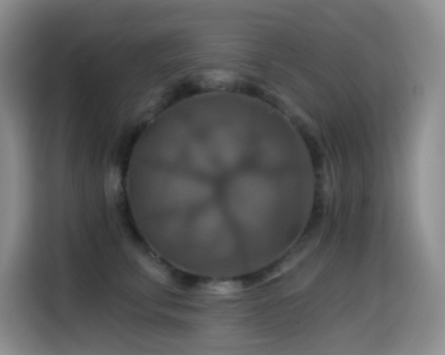 X0000114610711200910201152