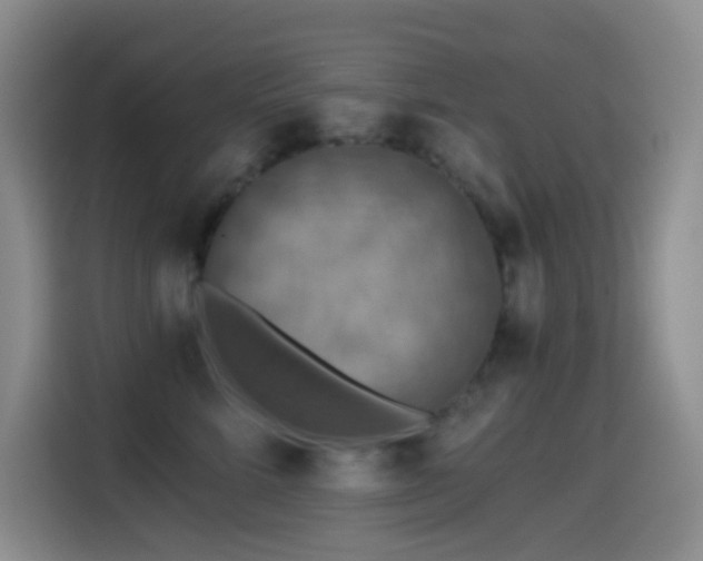 X0000114610712200910201152