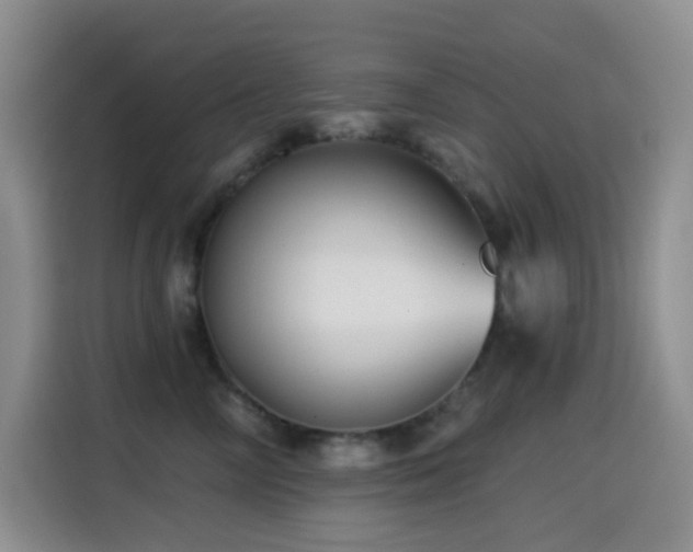 X0000114610714200910201152