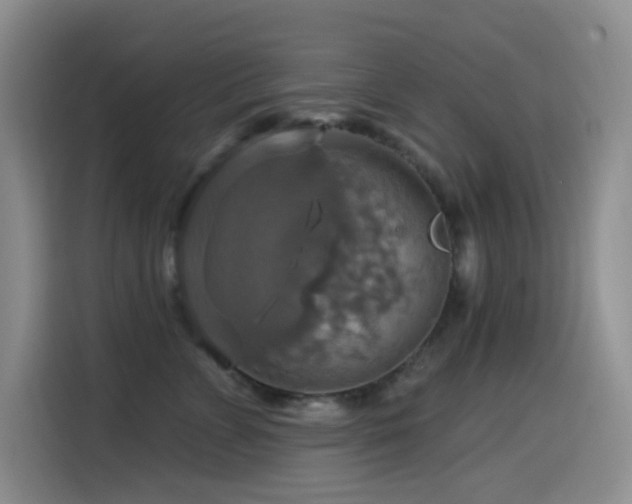 X0000114610715200910201152