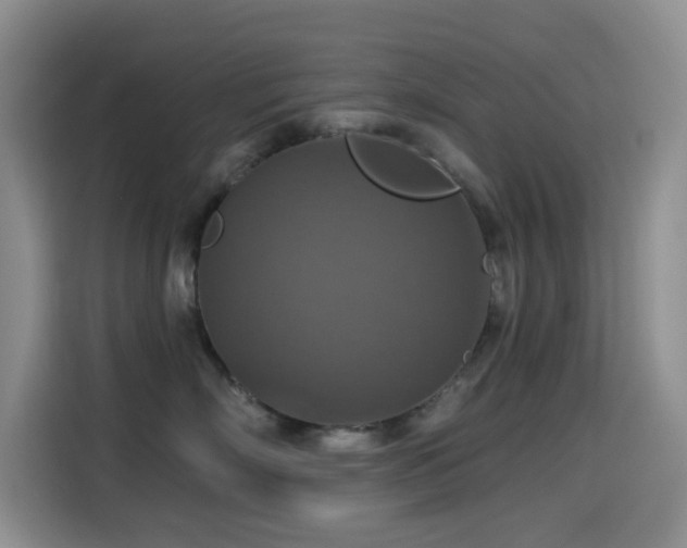 X0000114610718200910201152