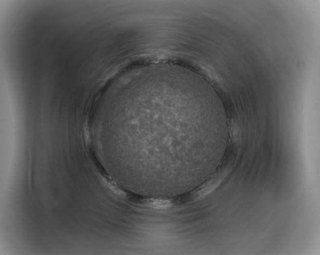 X0000114610719200910201152