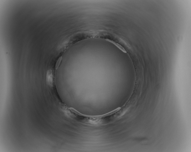 X0000114610720200910201152