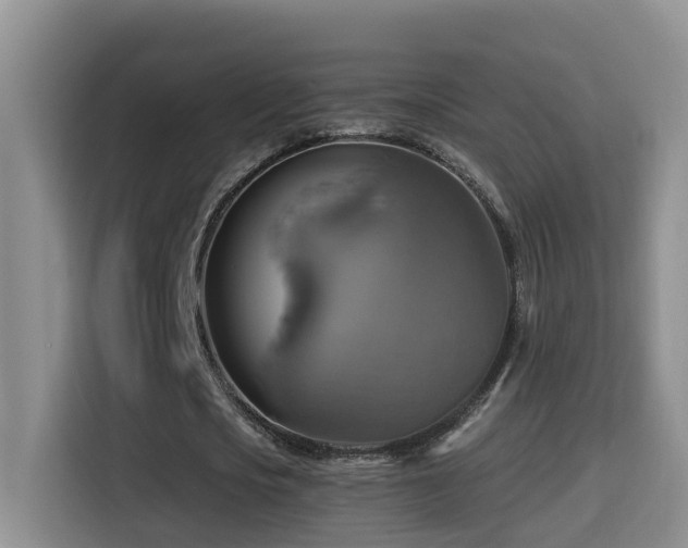 X0000114610721200910201152