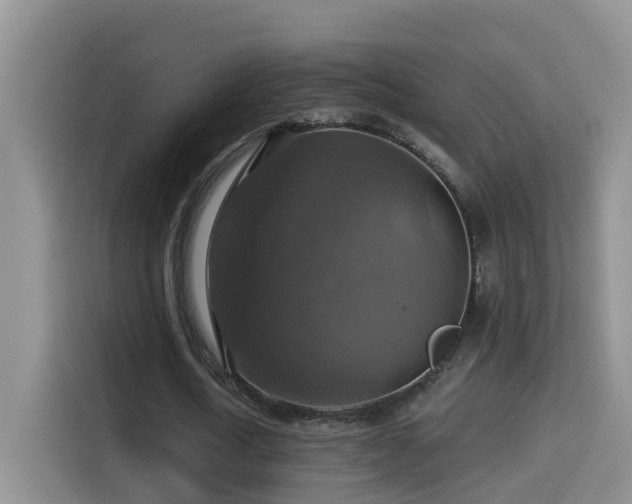 X0000114610722200910201152