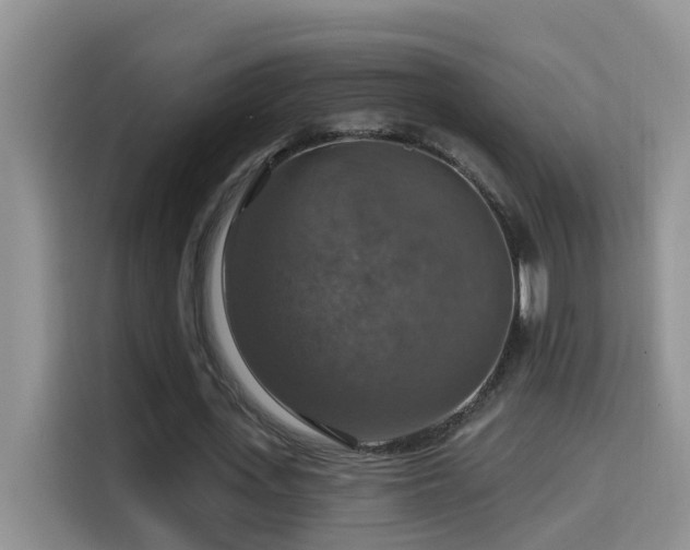 X0000114610723200910201152