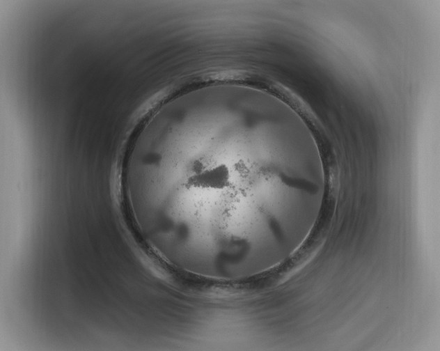 X0000114610725200910201152