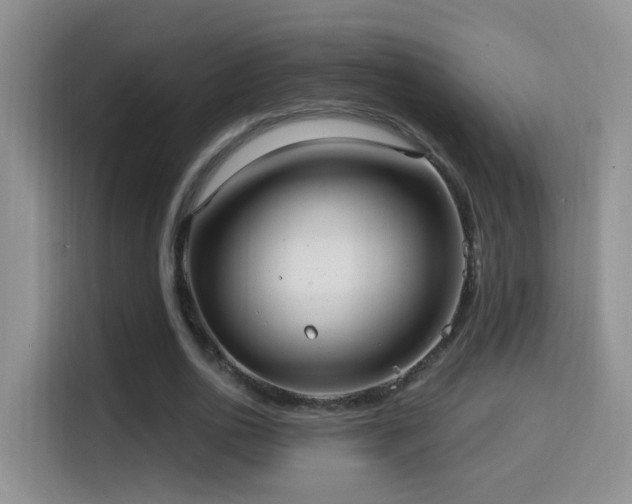 X0000114610726200910201152