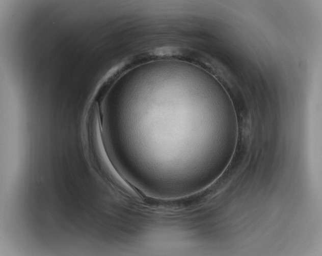 X0000114610727200910201152