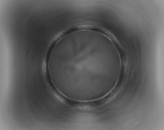 X0000114610729200910201152