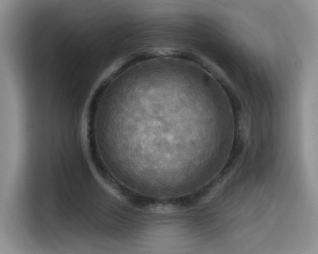 X0000114610730200910201152