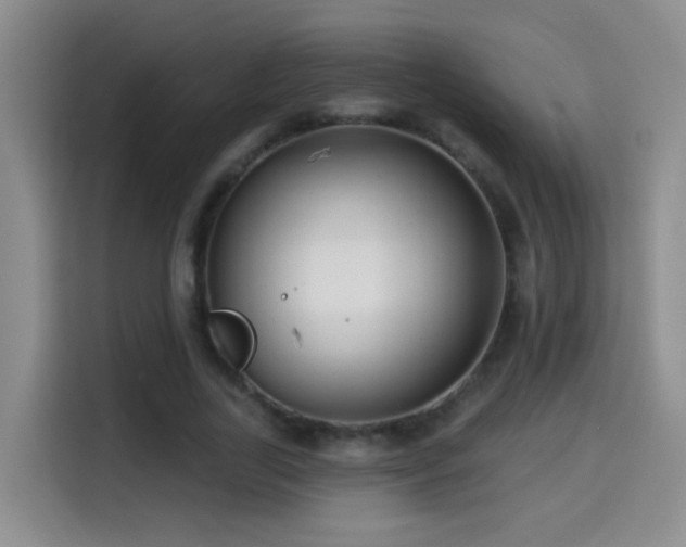 X0000114610731200910201152