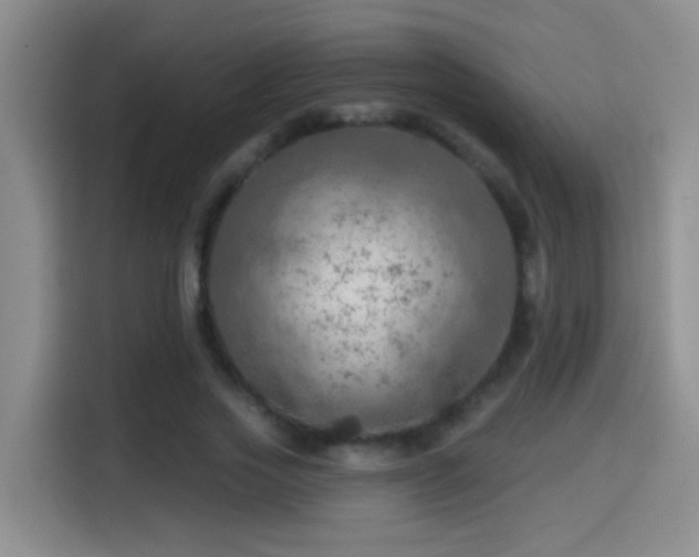 X0000114610733200910201152