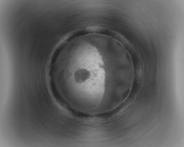 X0000114610734200910201152