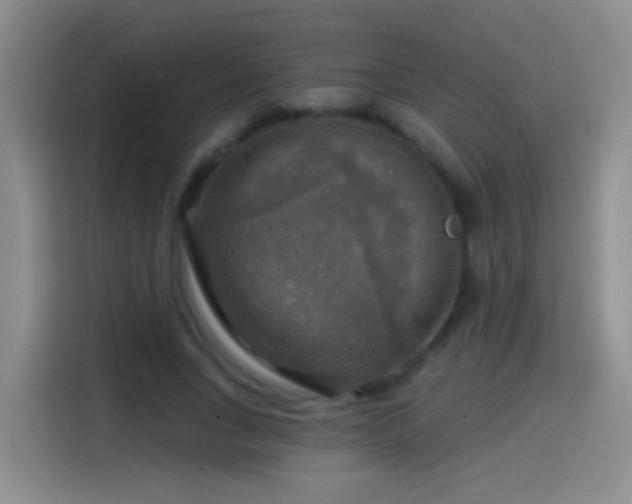 X0000114610735200910201152