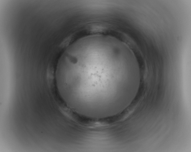 X0000114610737200910201152