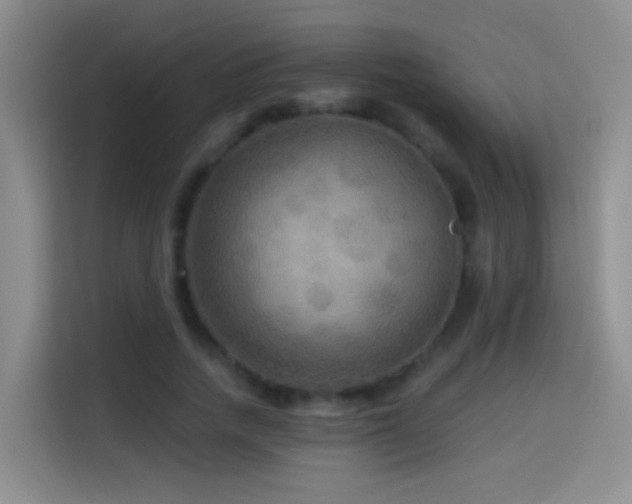 X0000114610738200910201152