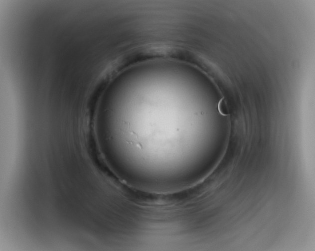 X0000114610739200910201152