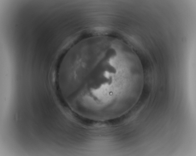 X0000114610742200910201152