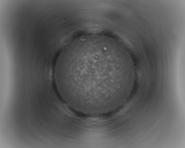 X0000114610745200910201152