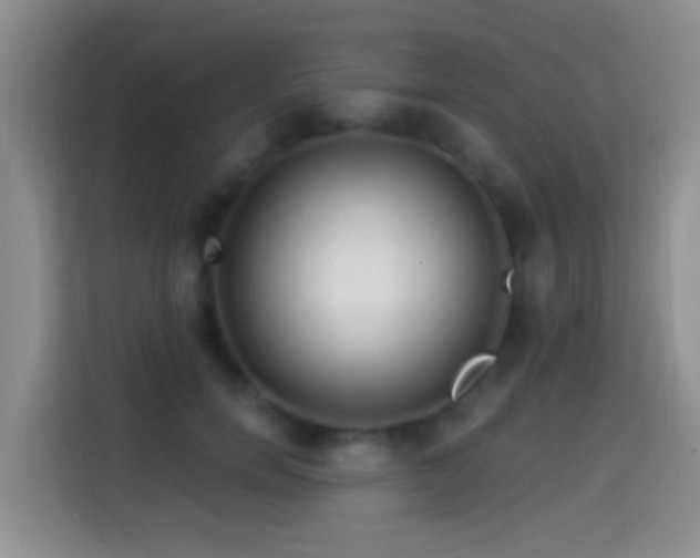 X0000114610750200910201152