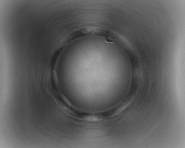 X0000114610751200910201152