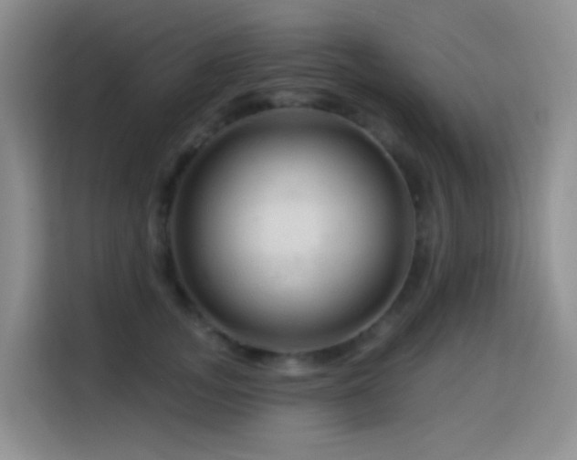 X0000114610755200910201152