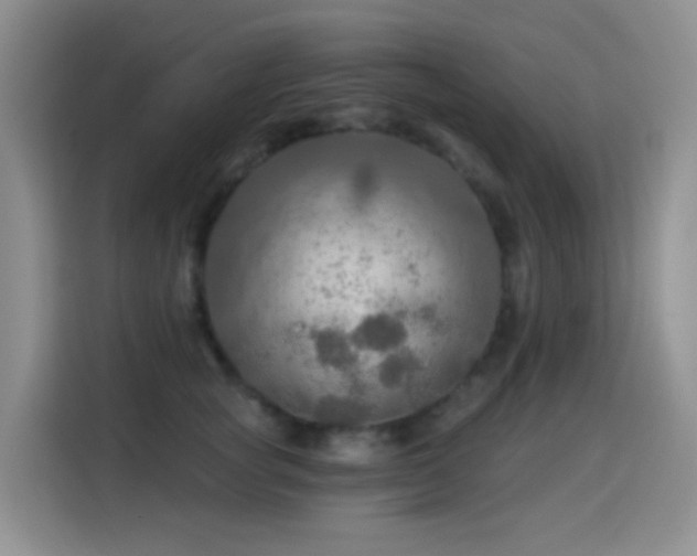 X0000114610757200910201152