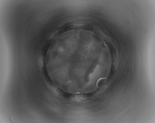 X0000114610758200910201152