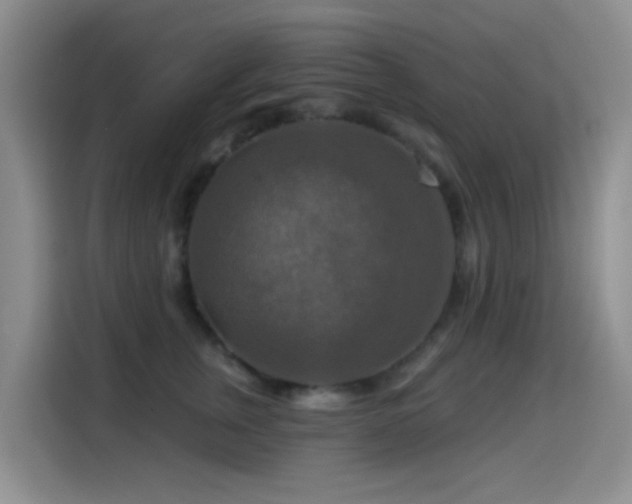 X0000114610759200910201152