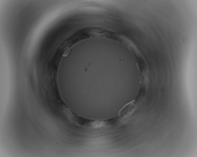 X0000114610762200910201152