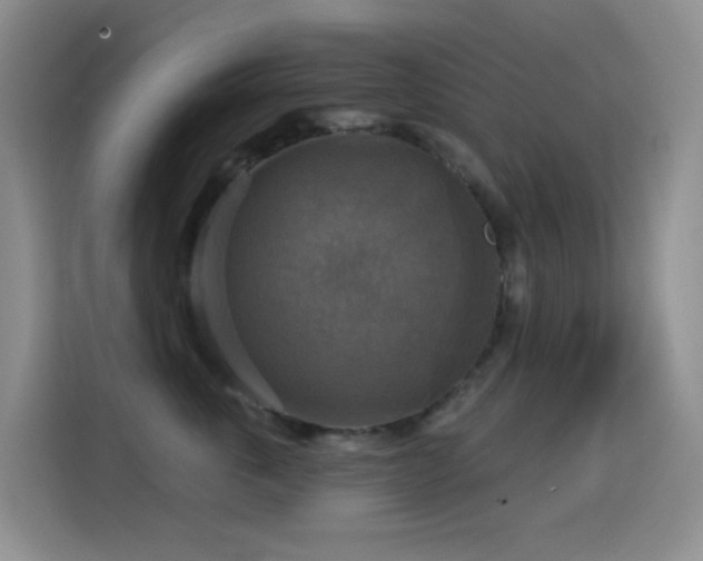 X0000114610763200910201152