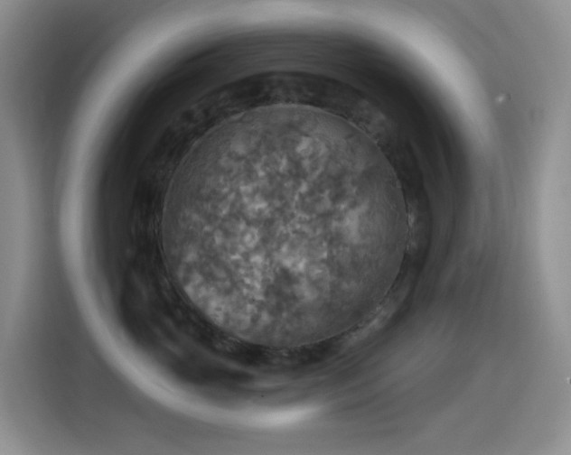 X0000114610765200910201152