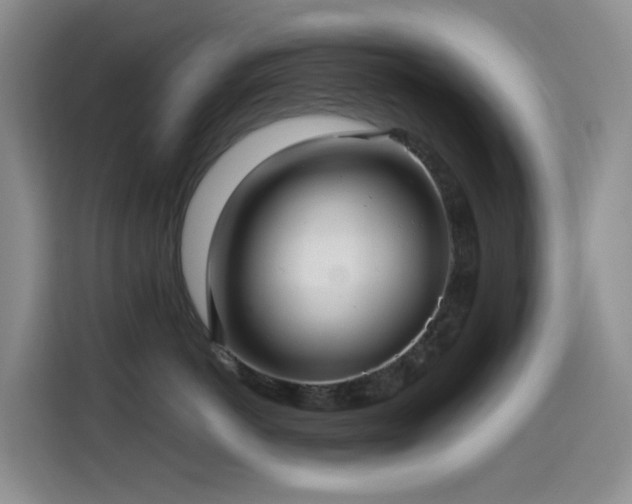 X0000114610766200910201152