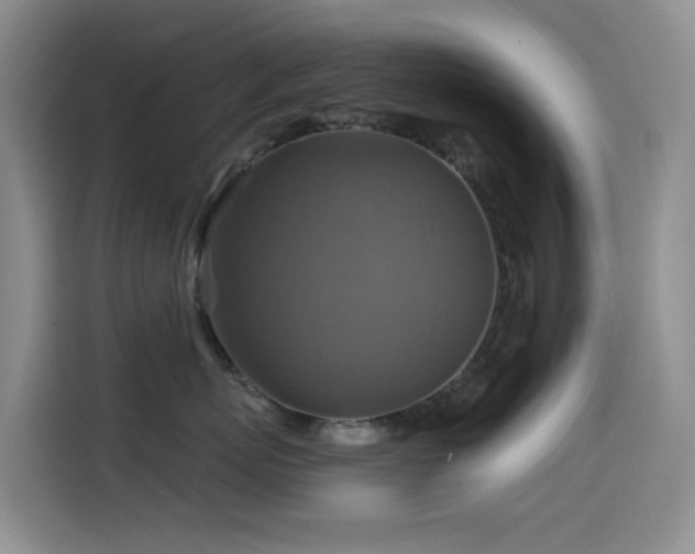 X0000114610767200910201152