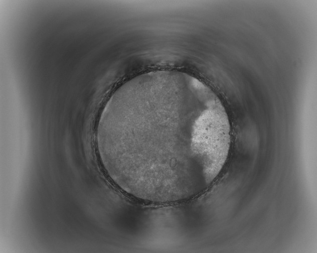 X0000114610769200910201152