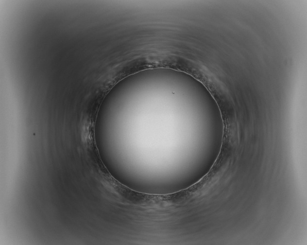 X0000114610770200910201152