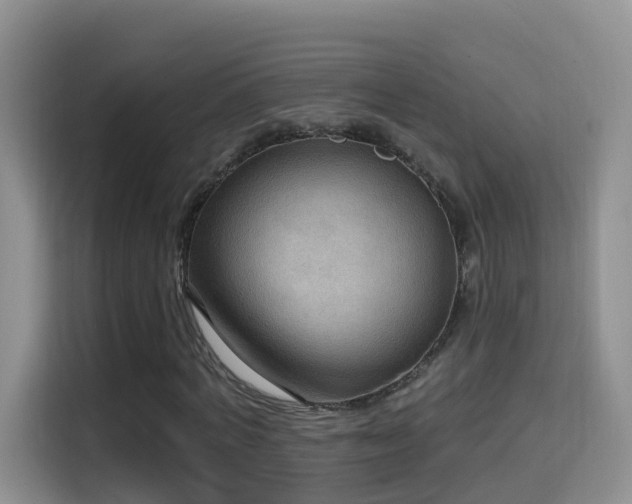 X0000114610772200910201152