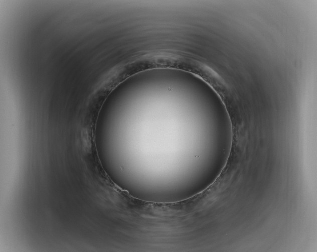 X0000114610774200910201152