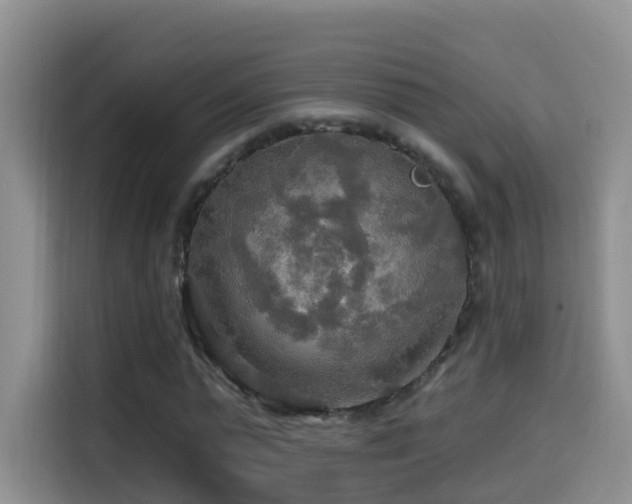 X0000114610775200910201152