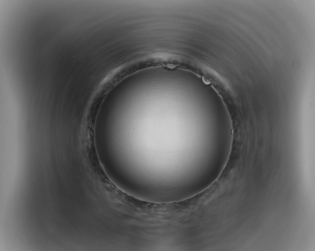 X0000114610776200910201152